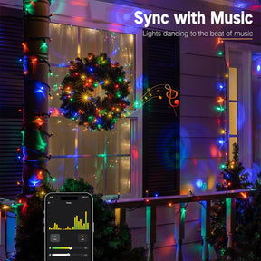 Smart Mini Christmas Lights, 66FT 200 LED,Warm White & Multicolor Color Changing App & Voice Control